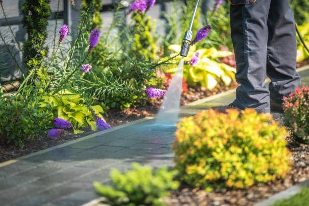Trusted Belfast, ME Pressure Washing Services Experts
